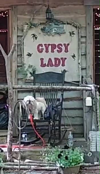 Gypsy Lady